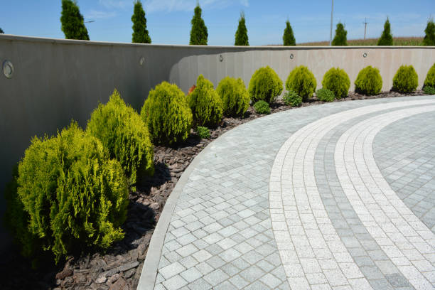 Best Brick Driveway Pavers  in Roanoke, IL